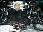 HO throttle body